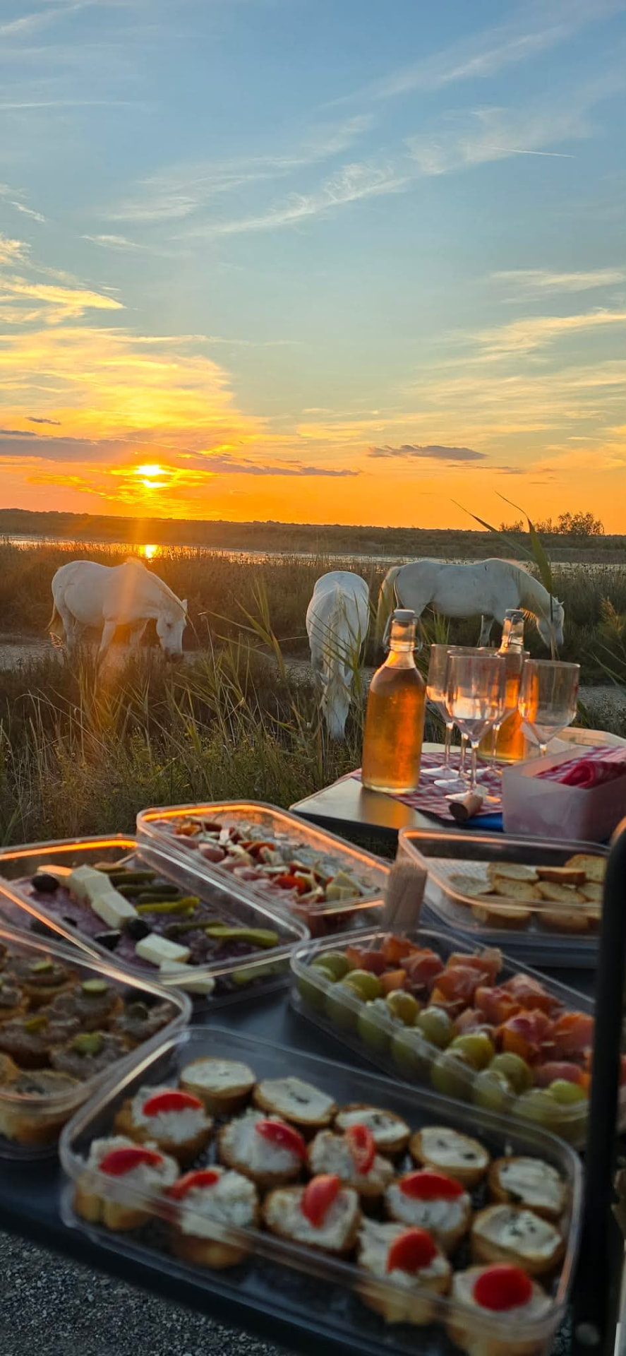 Provenzalisches Picknick bei Sonnenuntergang in der Camargue, weiße Pferde im Hintergrund, nahe Saintes-Maries-de-la-Mer