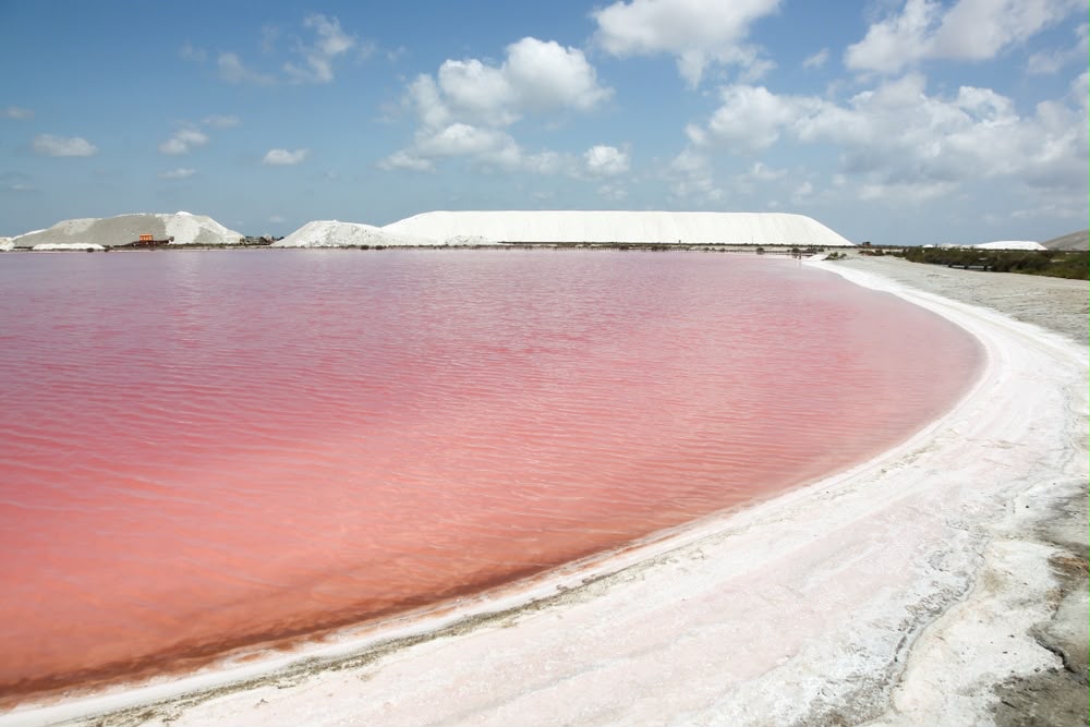 Rosafarbene Wasserbecken und weißer Salzberg der Salinen von Aigues-Mortes
