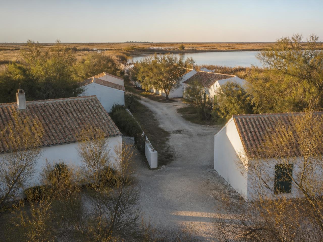 Weisse Mazets mit Ziegeldächern im Viertel Pioch Badet in der Camargue, goldenes Morgenlicht